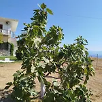 Apartment Nereids Apartments-erato Petalidi