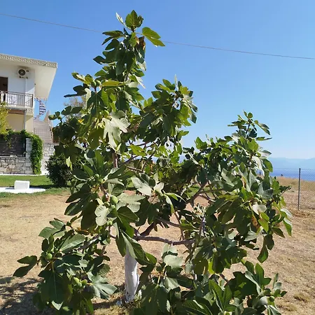 Apartamento Nereids Apartments-erato Petalídhion