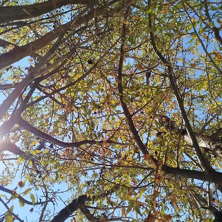 Nereids Apartments-erato Apartamento