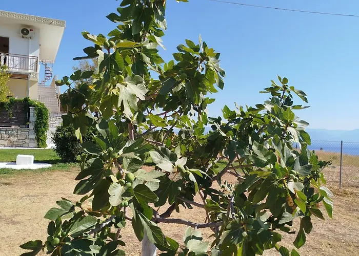 Apartamento Nereids Apartments-erato Petalídhion