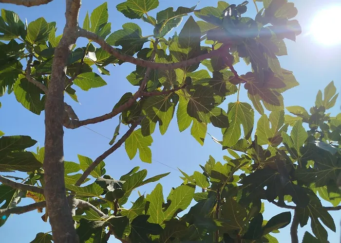 Апартаменты Nereids Apartments-erato *