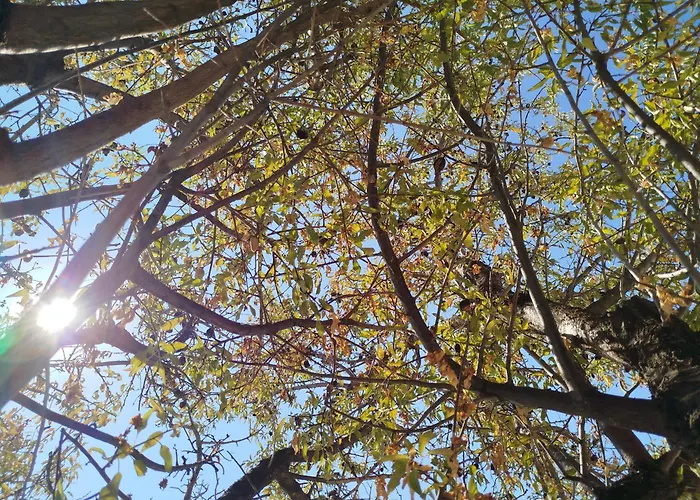 Nereids Apartments-erato Apartamento