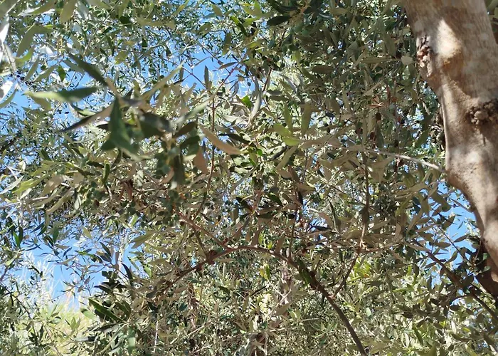 Апартаменты Nereids Apartments-erato *