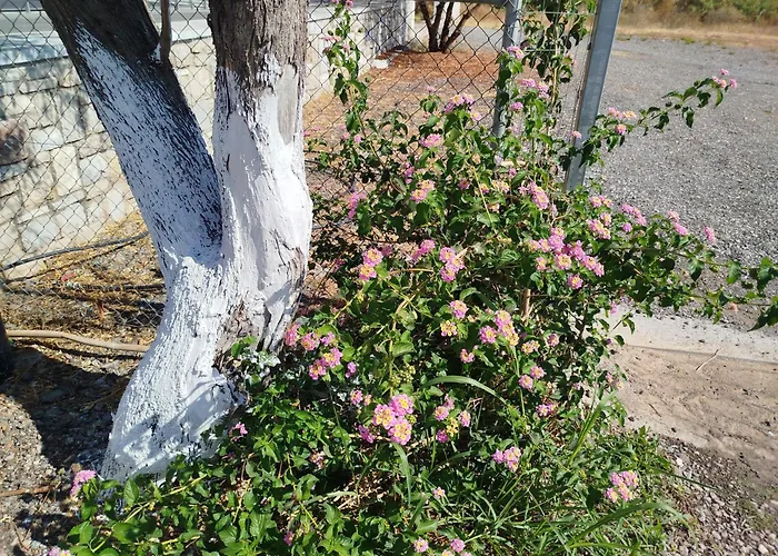 Nereids Apartments-erato Апартаменты Петалидион