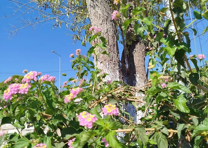 Nereids Apartments-erato