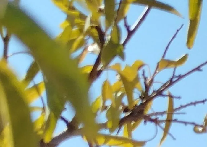 Nereids Apartments-erato * Петалидион